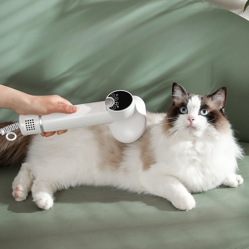 Умные электрические сушилки дл – обзор и цена Pet Supplies And More