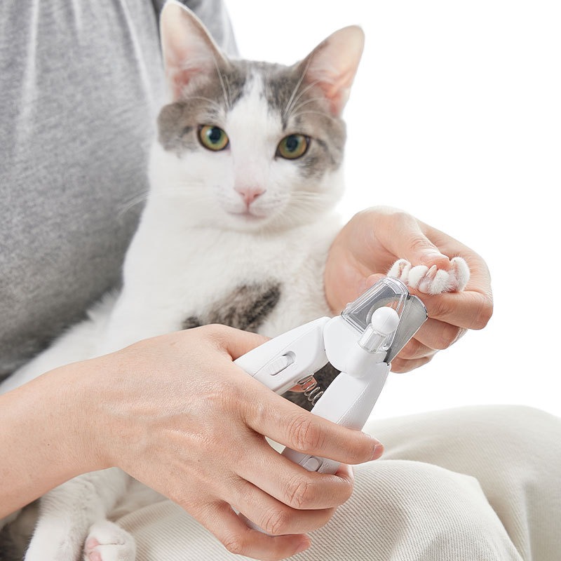 Машинка для стрижки шерсти PET – обзор и цена Pet Supplies Grooming Hours