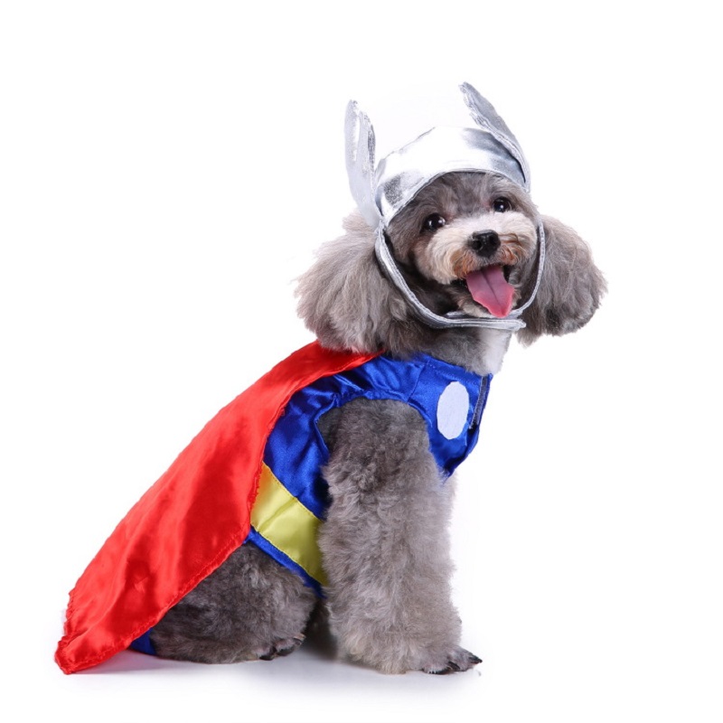 Одежда для собак, товары для д – обзор и цена Pet Supplies And More