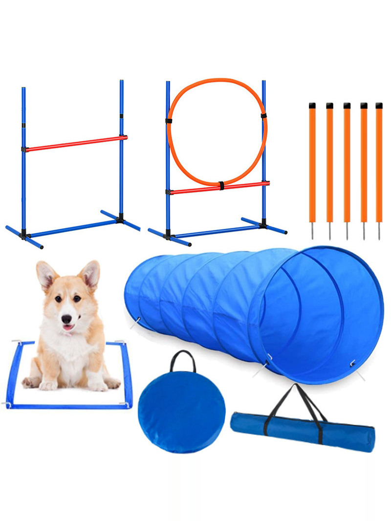 Оборудование для тренировок со – обзор и цена Pet Supplies For Dogs