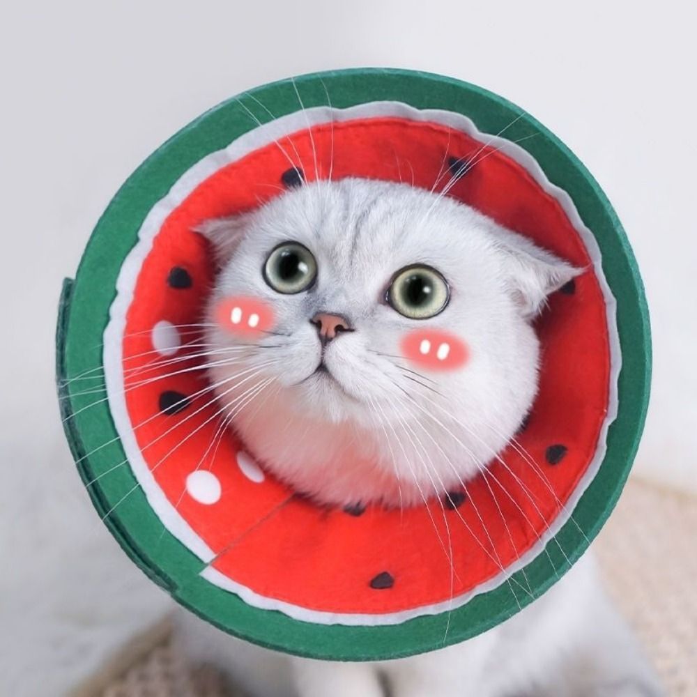Мягкие защитные ворсистые кону – обзор и цена Pet Supplies Nail Trim